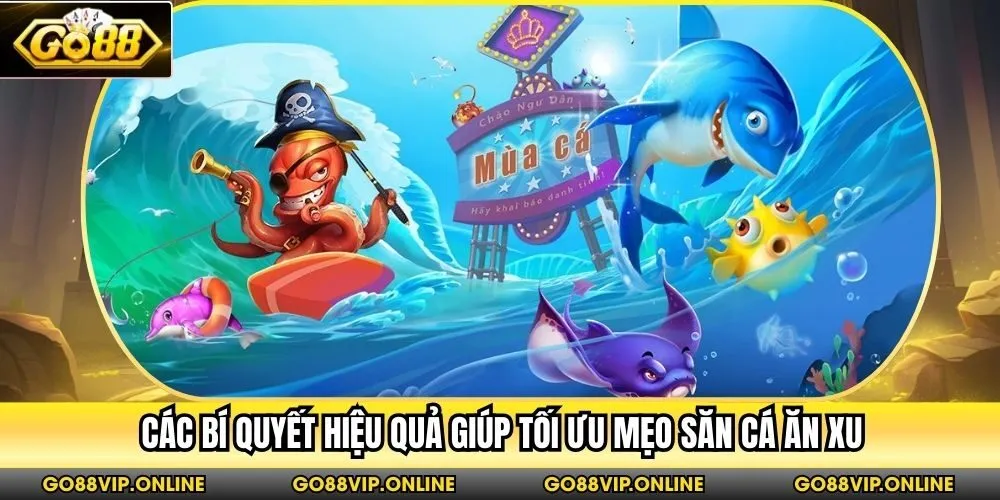 Các bí quyết hiệu quả giúp tối ưu mẹo săn cá ăn xu