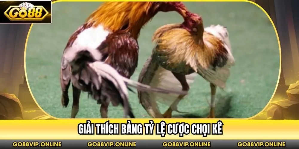 Giải thích bảng tỷ lệ cược chọi kê