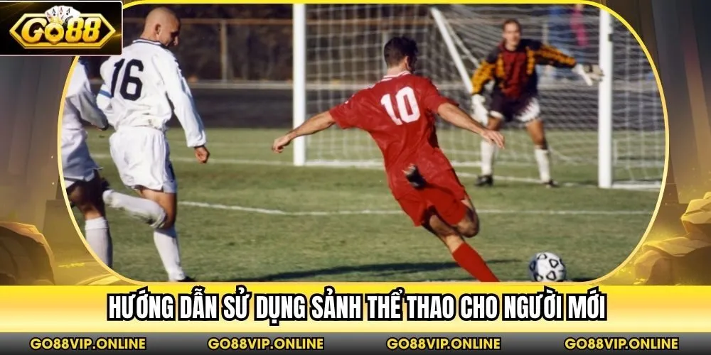 Hướng dẫn sử dụng sảnh thể thao cho người mới