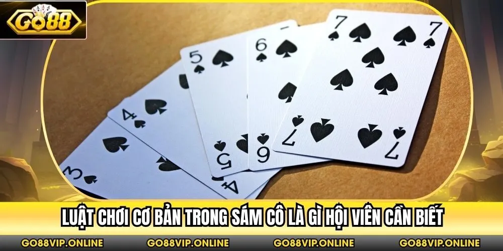 Luật chơi cơ bản trong sám cô là gì hội viên cần biết