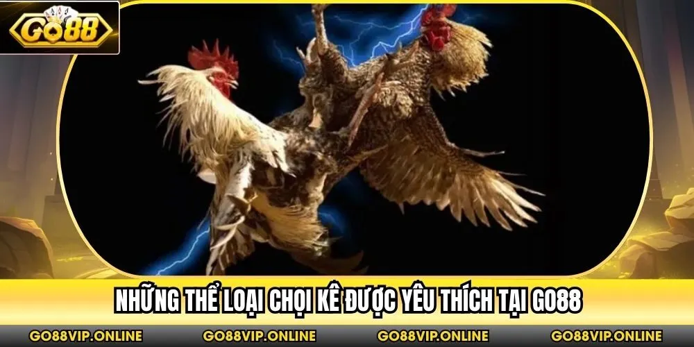 Những thể loại chọi kê được yêu thích tại Go88