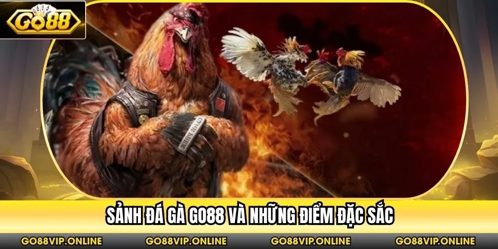 Sảnh đá gà Go88 và những điểm đặc sắc